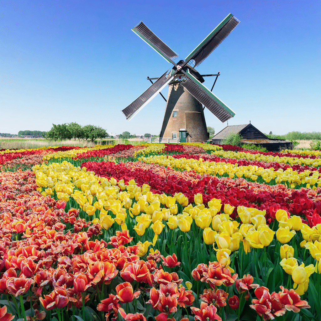 Why a Tulip Time River Cruise Should Be on Your Bucket List