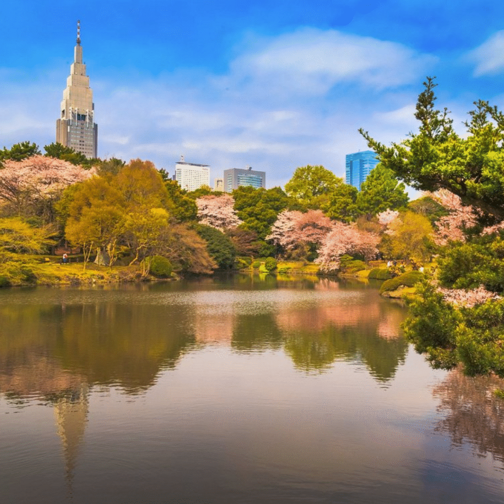 A lake surrounded by trees some of which are filled with pink flowers. A Tokyo skyscraper and other buildings in the background